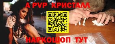 стафф Будённовск