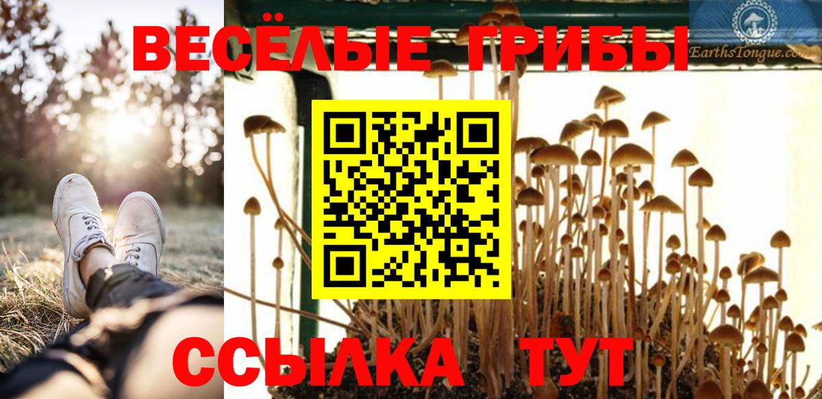 Галлюциногенные грибы Magic Shrooms Химки